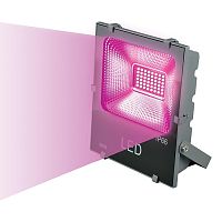 Прожектор светодиодный фито Uniel ULF-P41-50W/SPBR IP65 50Вт 220В IP65 Серый картинка 
